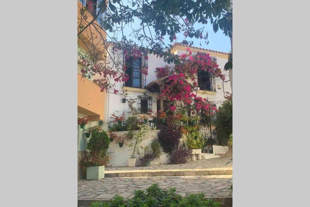 Appartement Palmeras Puerto Paraiso Εστεπόνα Εξωτερικό φωτογραφία